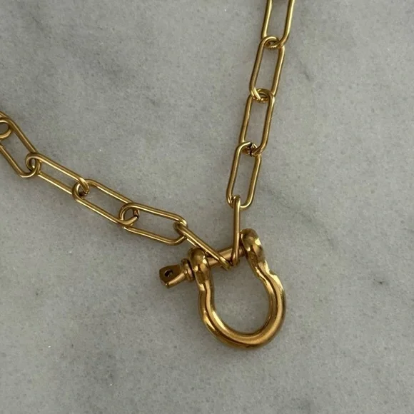 COPY - Gold Carabiner Clasp Charm Chain Link Necklace
Brand New - Picture 1 of 4